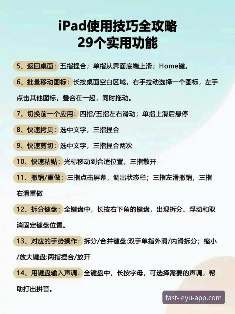 乐鱼平台使用指南：从下载到上手的高效操作全流程